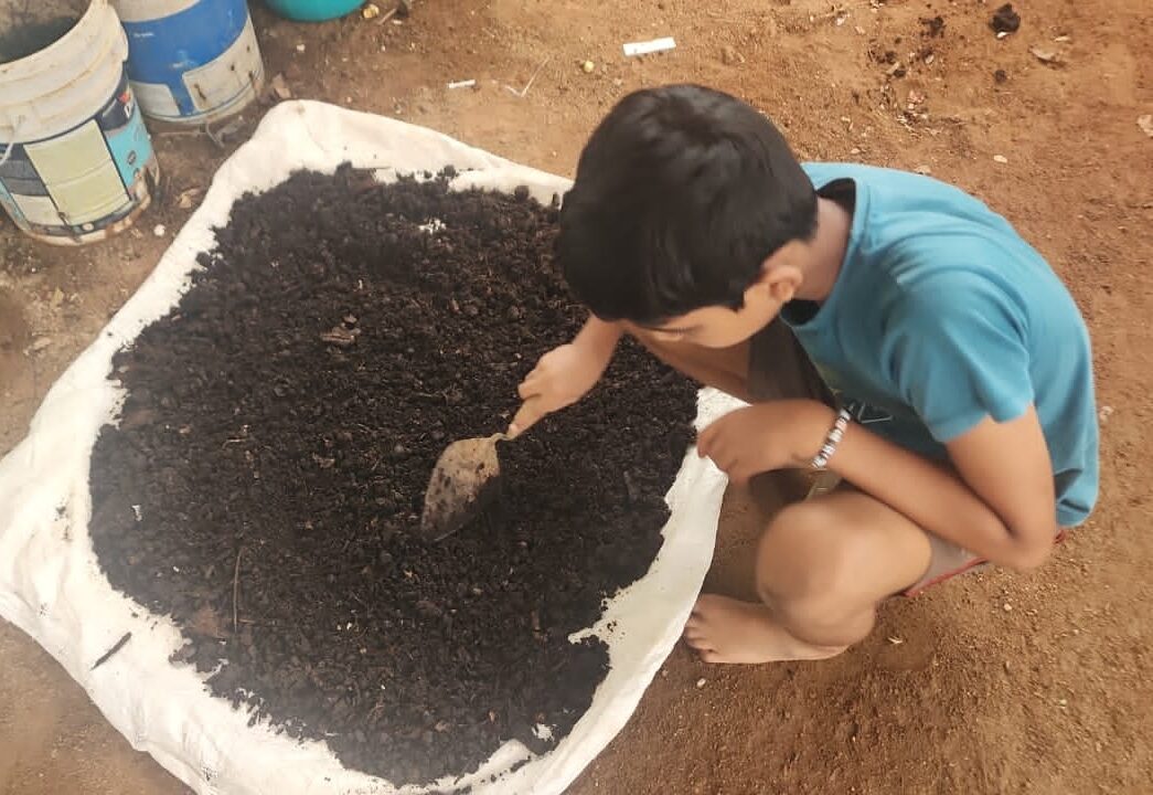 Compost inspection (20)
